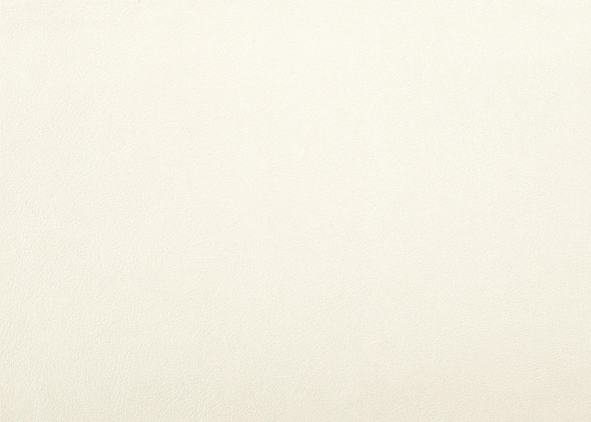 Allura White Queen LED Upholstered Panel Bed by Homelegance at Eve Furniture