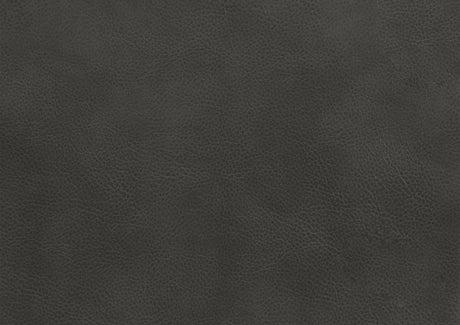 Amite Dark Gray Double Reclining Sofa by Homelegance at Eve Furniture