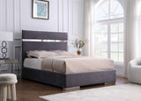 Cartier Gray/Gold King Platform Bed - Eve Furniture
