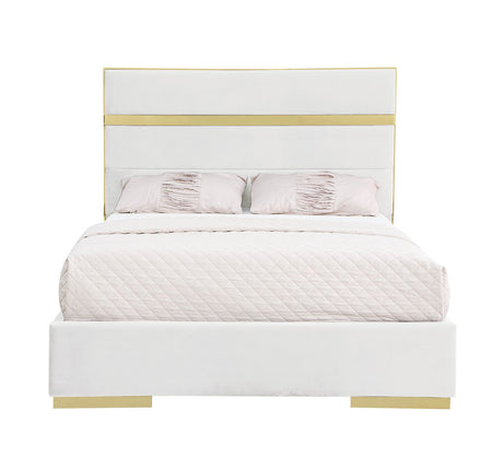 Cartier Ivory/Gold King Platform Bed - Eve Furniture