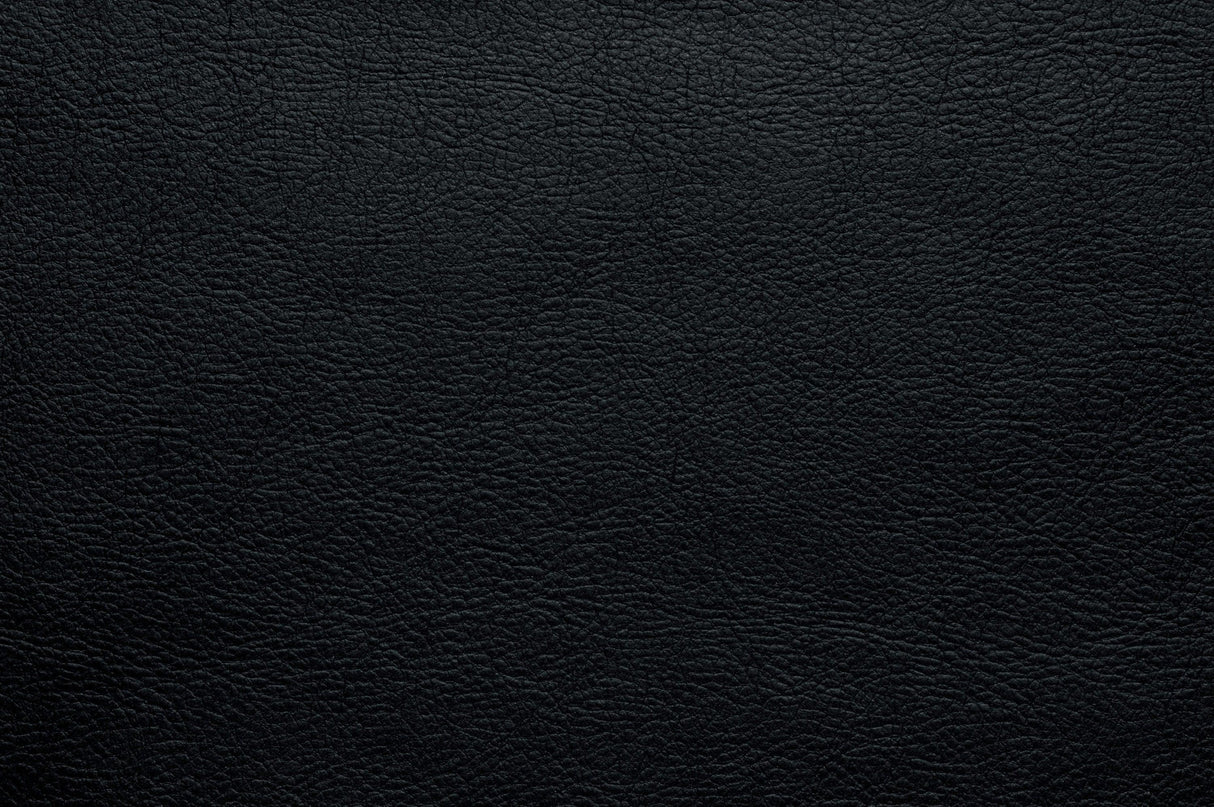 Bastrop Black Reclining Sofa by Homelegance at Eve Furniture