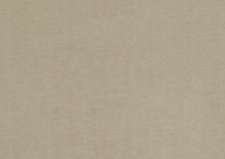 Bijou Champagne Chest by Homelegance at Eve Furniture