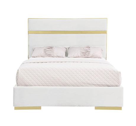 Cartier Ivory/Gold King Platform Bed by New Era Innovations at Eve Furniture