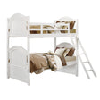 Clementine White Twin/Twin Bunk Bed by Homelegance at Eve Furniture