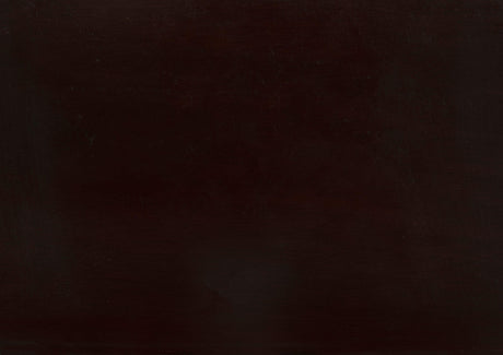 Daisy Dark Brown Counter Height Chair, Set of 2 by Homelegance at Eve Furniture