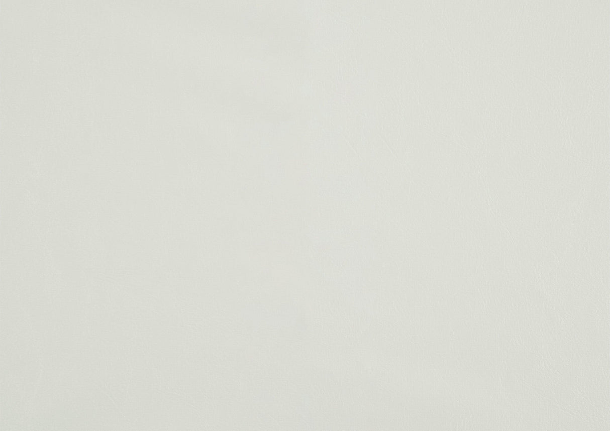 Daisy White Counter Height Chair, Set of 2 by Homelegance at Eve Furniture