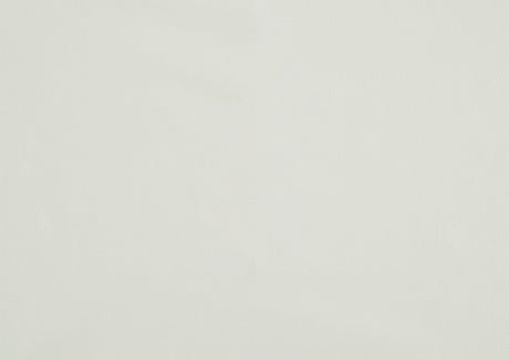 Daisy White/Dark Brown Side Chair, Set of 2 by Homelegance at Eve Furniture