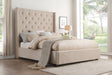 Fairborn Beige King Upholstered Platform Bed by Homelegance at Eve Furniture