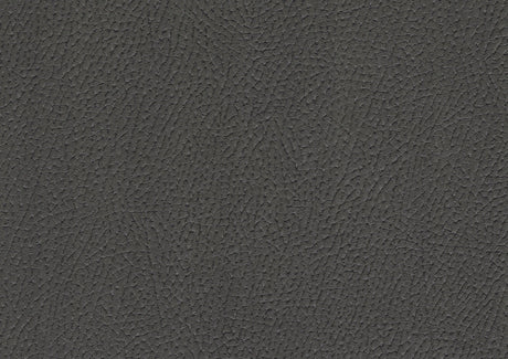 Ferriday Gray Chair with Pull-out Ottoman by Homelegance at Eve Furniture