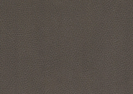 Ferriday Taupe Chair with Pull-out Ottoman by Homelegance at Eve Furniture