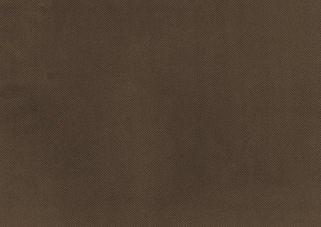 Garrell Brown Velvet Lift Top Storage Bench with Pull-out Bed by Homelegance at Eve Furniture