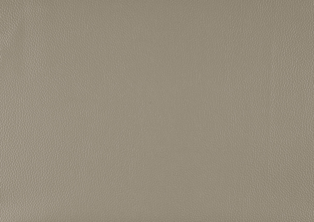 Lewes Latte Leather 2-Piece Sectional with Right Chaise by Homelegance at Eve Furniture