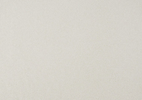 Luster White Queen Upholstered Storage Platform Bed by Homelegance at Eve Furniture