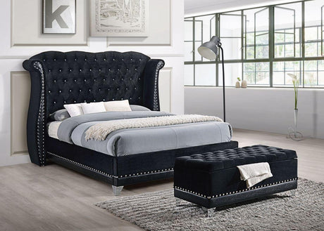 Luxor Black Velvet Queen Platform Bed by Happy Homes at Eve Furniture