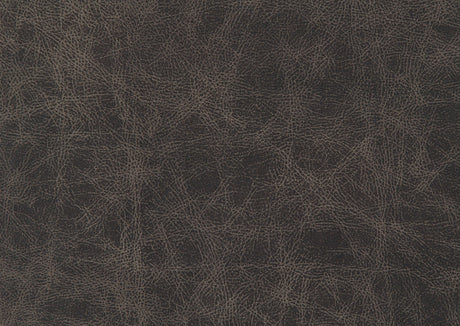 Madrona Reclining Chair by Homelegance at Eve Furniture