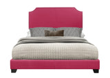 Miranda Pink Queen Upholstered Bed by Homelegance at Eve Furniture