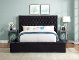 Prague Black Velvet King Upholstered Storage Platform Bed by Homelegance at Eve Furniture