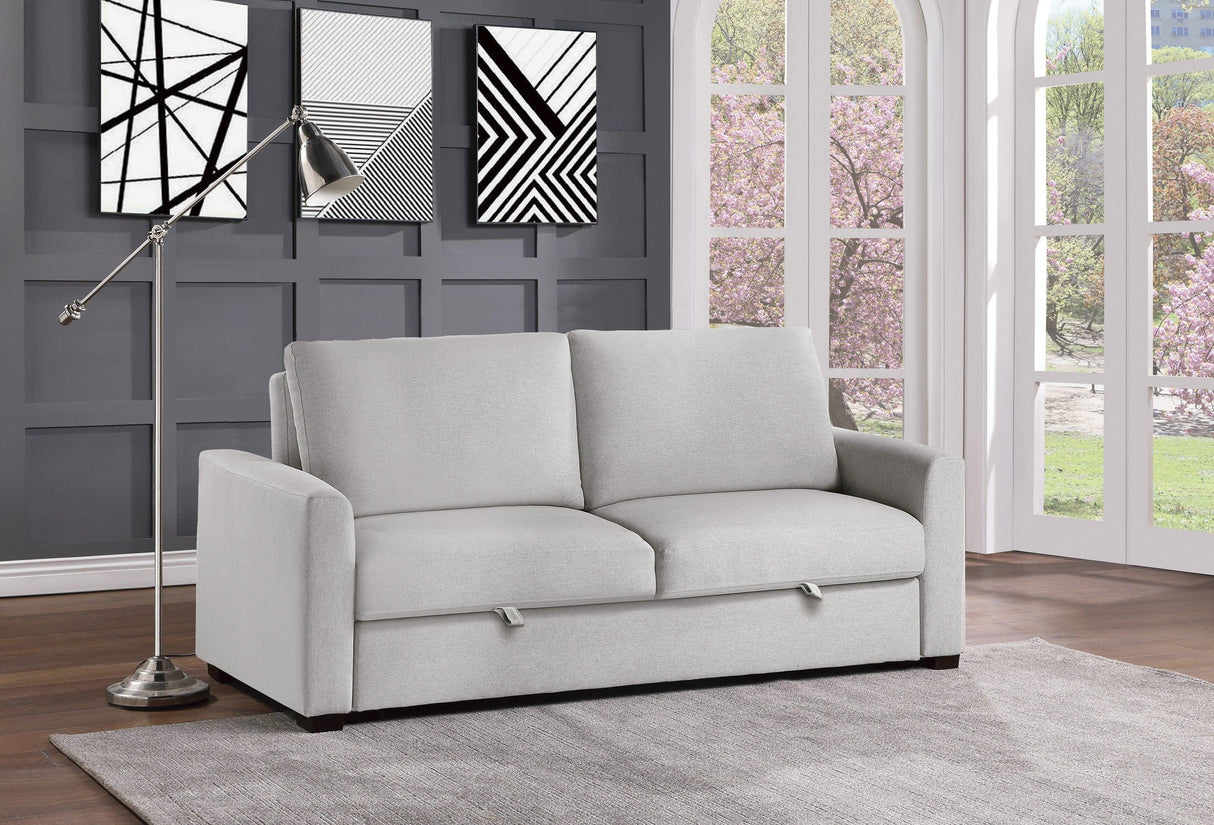 Price Gray Convertible Studio Sofa with Pull-out Bed by Homelegance at Eve Furniture