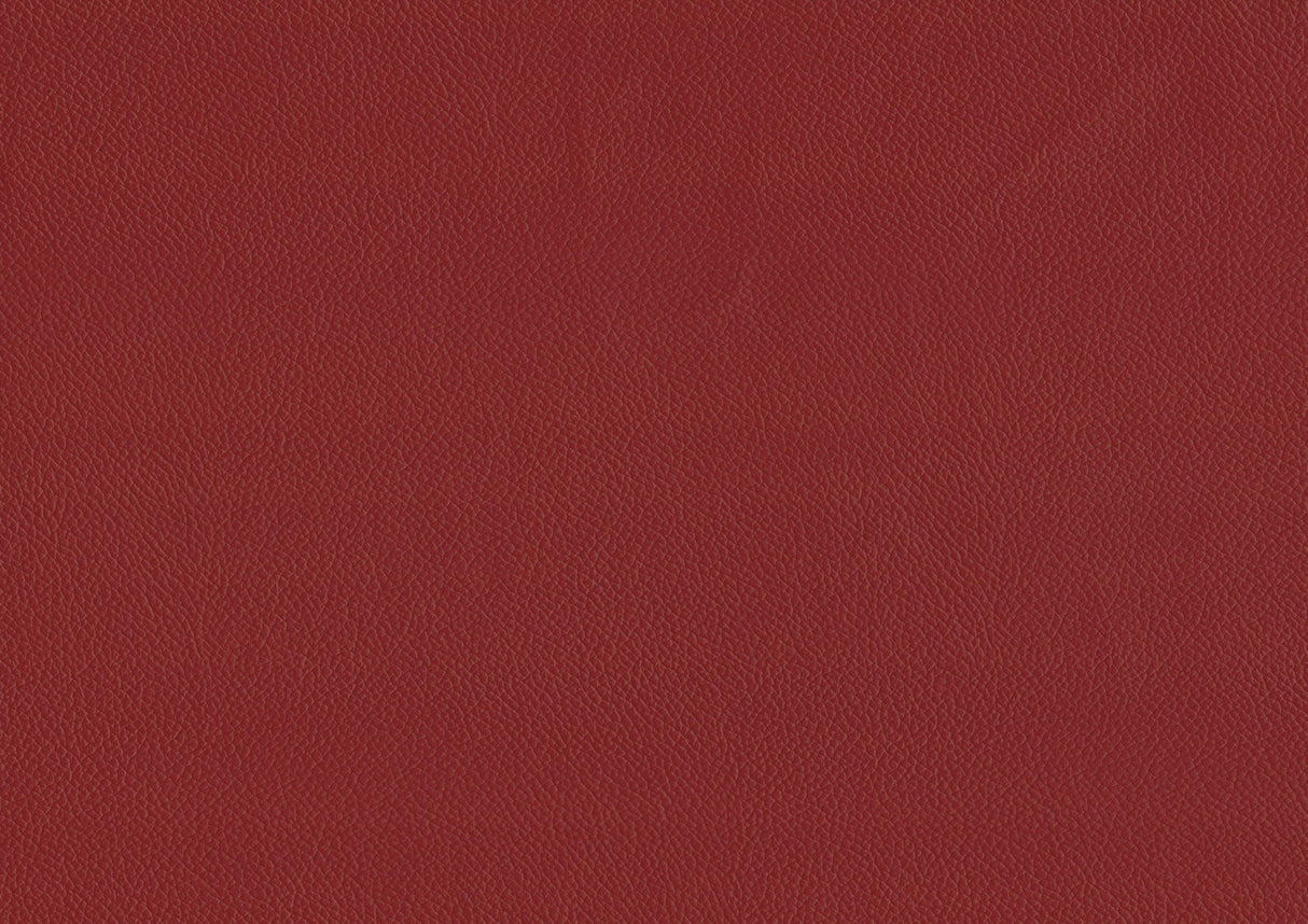 Ride Matt Red Counter Height Stool, Set of 2 by Homelegance at Eve Furniture