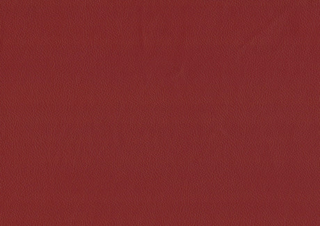 Ride Matt Red Counter Height Stool, Set of 2 by Homelegance at Eve Furniture