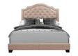 Sandy Beige King Upholstered Bed by Homelegance at Eve Furniture