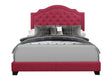 Sandy Pink King Upholstered Bed by Homelegance at Eve Furniture