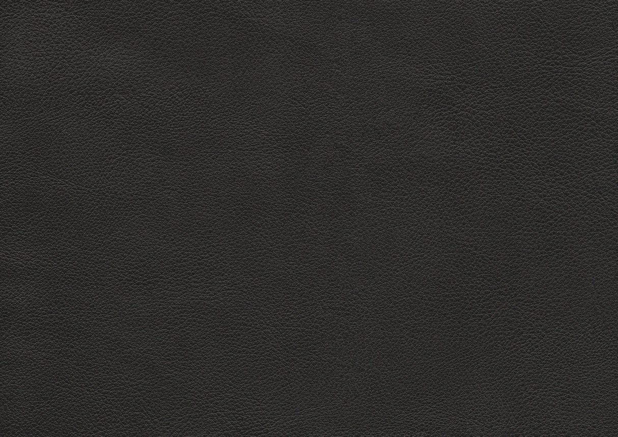 Spivey Dark Gray Leather Loveseat by Homelegance at Eve Furniture