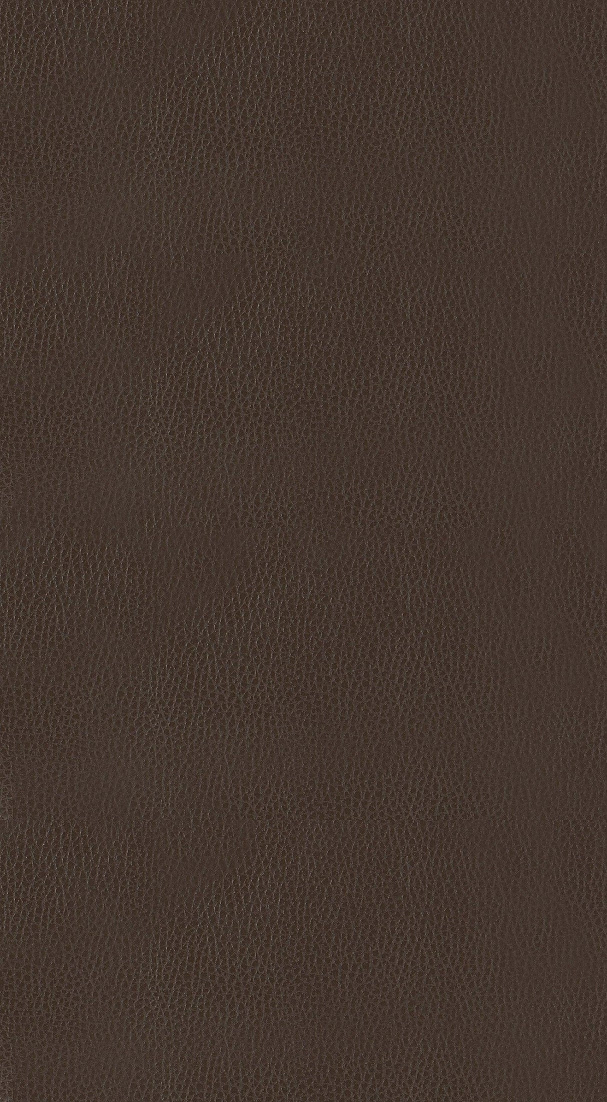 Westby Brown/Brown Round Swivel Counter Height Stool, Set of 2 by Homelegance at Eve Furniture